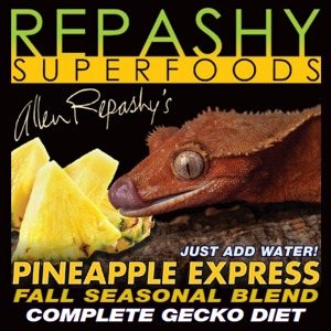 [REPASHY] 레파시 슈퍼푸드 - 파인애플 익스프레스 85g